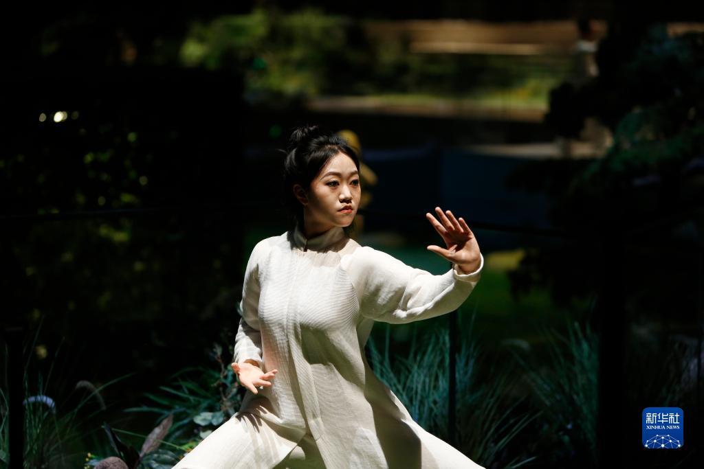 大红鹰彩票金管家